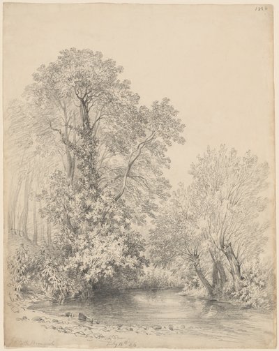 Stromy u řeky na hradě Bromwich od Frederick William Watts