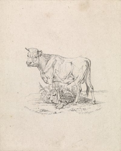 Stezky od Frederik Lodewijk Huygens