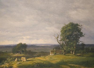 Krajina z Esromegnenu od Frederik Rohde