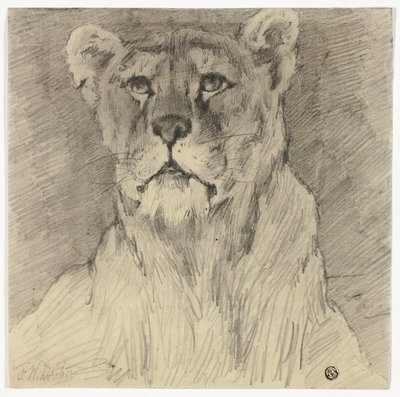 Pohled na sedící lvici zepředu od Frederik William Zurcher