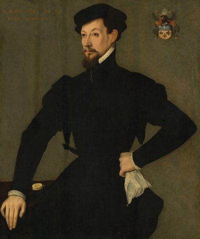 Portrét člena rodiny Quaratesi od French 16th Century