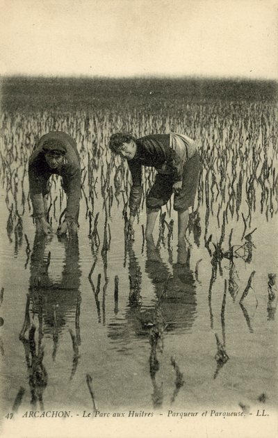 Arcachon, The Oyster Park od French Photographer