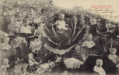 Miminka v zelí (fotokoláž) od French Photographer