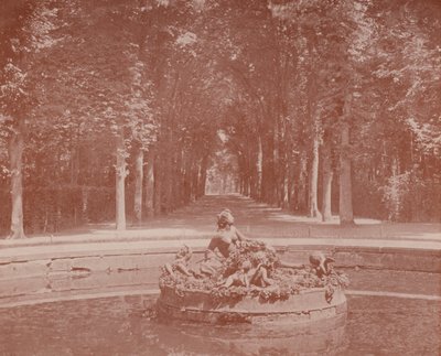 Povodí Flora, park Versailles (černobílá fotografie) od French Photographer