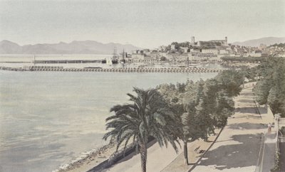 Cannes, přístav a staré město, Boulevard de la Croisette od French Photographer