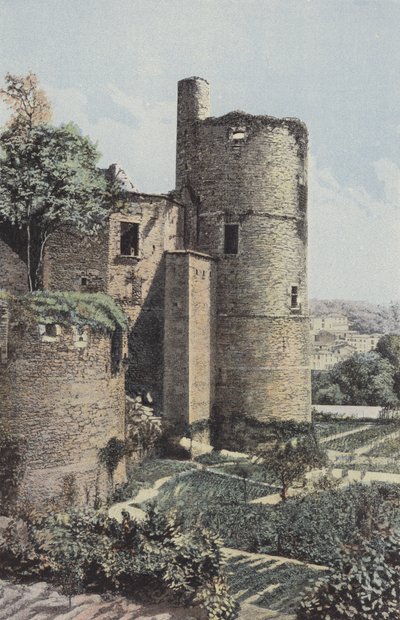 Clisson, věže a jáma od French Photographer