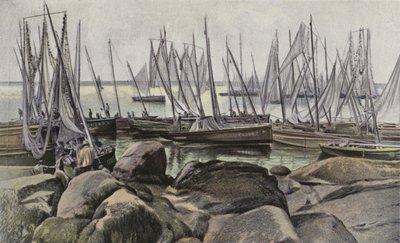 Rybářské lodě Concarneau, Sardinky od French Photographer