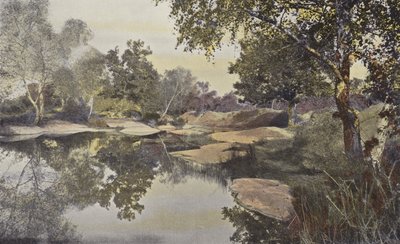 Fontainebleau, Forest, Mare de Franchard od French Photographer