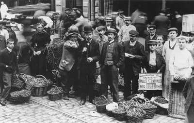 Zahradníci na trhu Les Halles, Paříž, 1907 od French Photographer