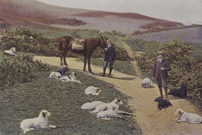 Střelba tetřevů ve Skotsku (barevné foto) od French Photographer