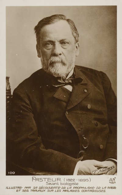 Louis Pasteur (1822-1895), francouzský chemik a mikrobiolog od French Photographer