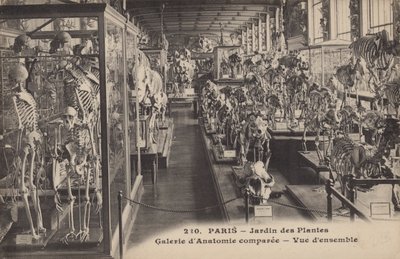 Paříž, Jardin Des Plantes od French Photographer