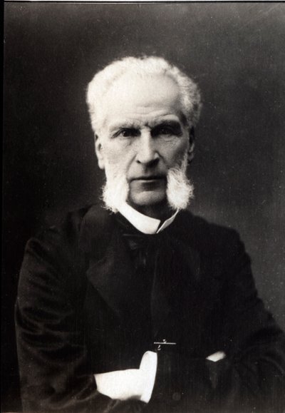 Portrét Aime Joseph Edmond Rousse (1817-1906), francouzský právník. od French Photographer