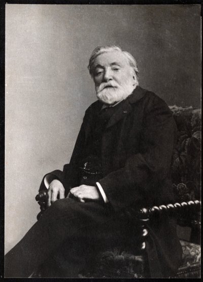 Portrét Etienna Charlese Henriho, vikomta de Bornier (1825-1901), francouzského básníka a dramatika. od French Photographer