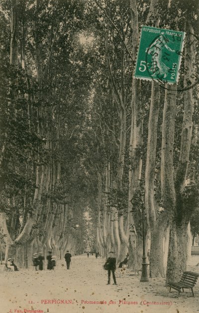 Promenade des Platanes v Perpignanu. Pohlednice odeslána v roce 1913. od French Photographer