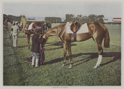 Dostihové koně v Deauville, Francie (barevné foto) od French Photographer