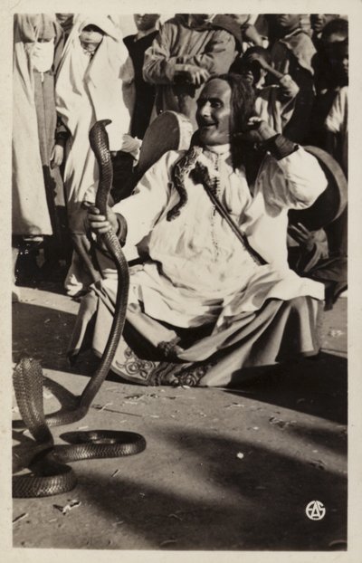 Scény severní Afriky: Zaklínač hadů na Souks od French Photographer
