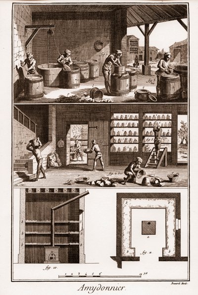 AMDONIER – Amydonnier – „“ Velká encyklopedie nebo Dictionnaire Raisonne des Sciences, des Arts et des Metiers“ (Encyklopedie nebo slovník věd, umění a povolání) od Denise Diderota (1713-1784) a Jean d