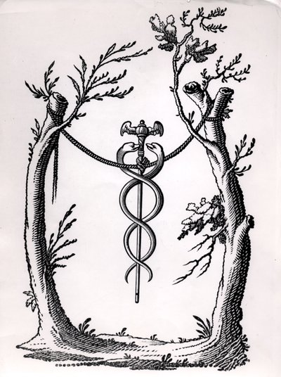 V Caduceu od French School