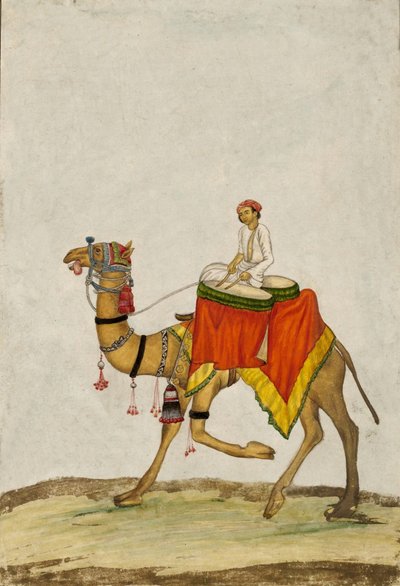 Velbloud se svým jezdcem hrajícím na bicí, c. 1840 (kvaš) od French School