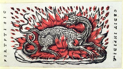 Salamander, 1. polovina 16. století od French School