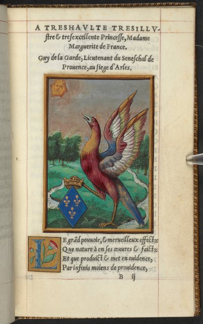 Fénix, z Historie a popis Fénixe atd. Guy of the Guard od French School