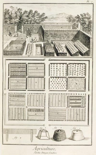 Zeleninová zahrada, z Encyklopedie vědy, umění a inženýrství od Denise Diderota (1713-84), kolem 1770 od French School