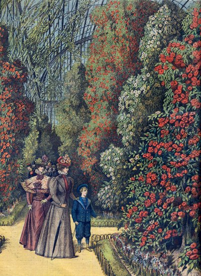 Aklimatizační zahrada - la serre des camelias - Skleník kamélií v botanické zahradě od French School