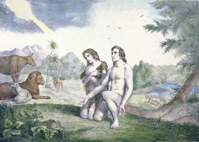 Adam a Eva v rajské zahradě, konec 19. století (barevná rytina) od French School