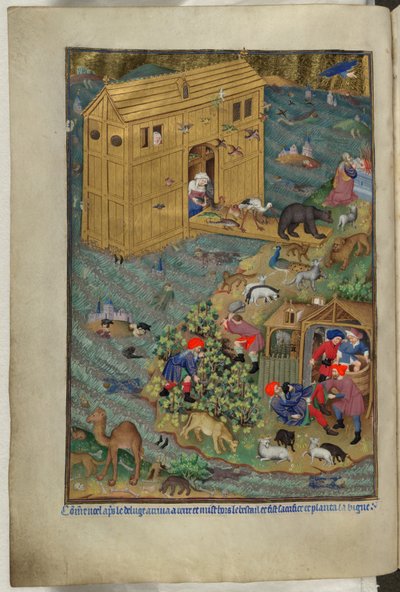 Přidat Ms 18850 f.16v, Východ z archy, z Book of Hours (The Bedford Hours) c.1410-30 (inkoust, barva a zlato na pergamenu) od French School
