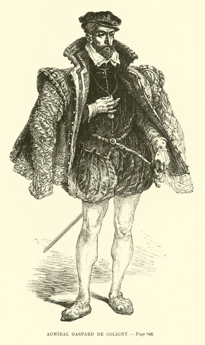 Admirál Gaspard de Coligny od French School