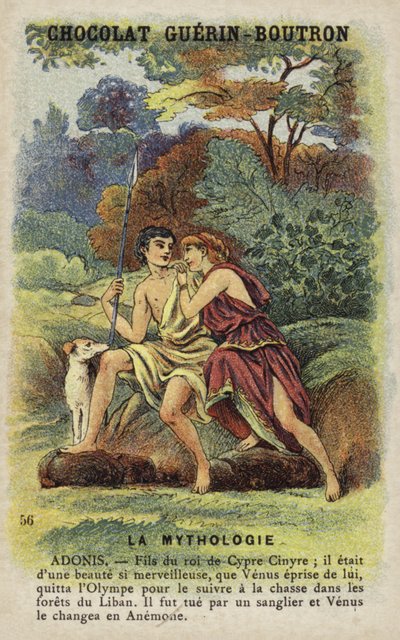 Adonis od French School