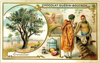 Reklamní chromolitografie čokolád Guérin Boutron (chromolitograf) od French School
