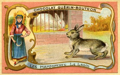 Reklamní chromolitografie čokolád Guerin Boutron, Savci, Klec pro králíky a divoká, Warren od French School