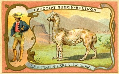 Reklamní chromolitografie čokolád Guerin Boutron, SAVCI, Lama od French School
