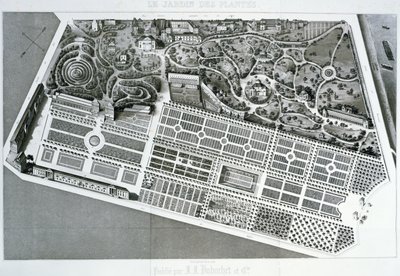 Letecký pohled na plán Jardin des Plantes v Paříži, 1842 od French School