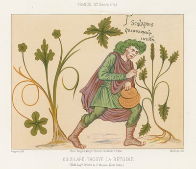 Aesculapius objevující betony od French School
