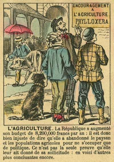 Zemědělství ilustruje přínosy Třetí republiky pro zemědělské investice a její zájem o rolnické populace. Rytina, v „“Le Figaro, příloha““, 30. 3. 1889, Paříž. Coll. Selva. od French School