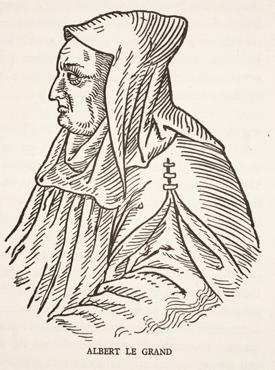 Albert Veliký od French School