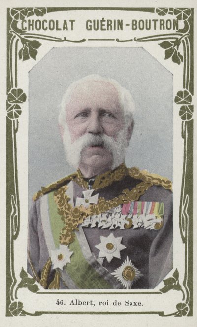 Albert, Roi de Saxe (barevné foto) od French School