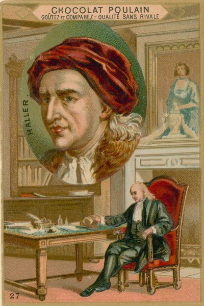 Albrecht von Haller od French School