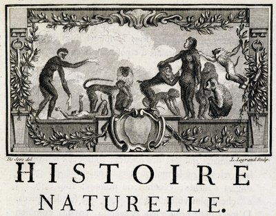 Alegorie přírodní historie na lidoopech – v „“Přírodní, obecné a partikulární historii““ od Buffona od French School