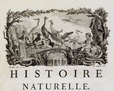 Alegorie přírodní historie o ptácích - v "" Přírodní, obecné a zvláštní dějiny"" od Buffona od French School