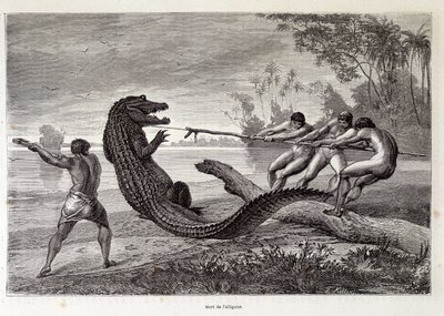 Lov na aligátora, Brazílie, „Cround the World““ 2. týden 1874. od French School