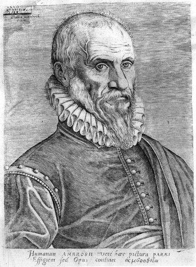 Ambroise Paré (1509-1590). od French School