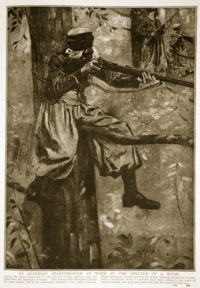 Alžírský ostrostřelec při práci v úkrytu v lese, 1914-19 od French School