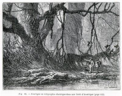 Elektrická telegrafní linka v americkém lese, kolem roku 1870 (rytina) od French School