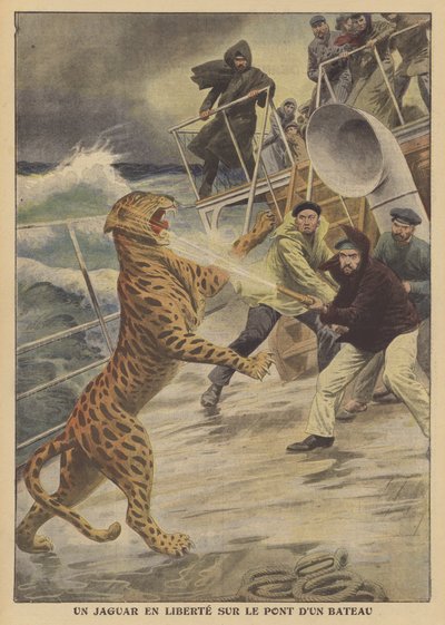 Uniklý jaguár na svobodě na lodi (barva litho) od French School