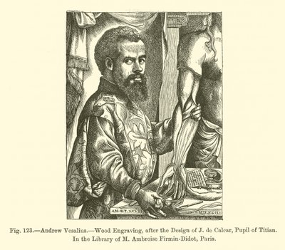 Andrew Vesalius (rytina) od French School
