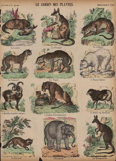 Zvířata v Jardin des Plantes, Paříž, Francie (barevná rytina) od French School
